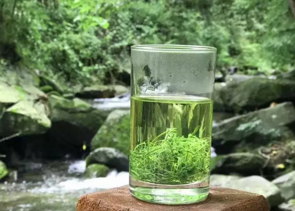 安康富硒茶主要销售(安康富硒茶属于绿茶吗)-硒宝网