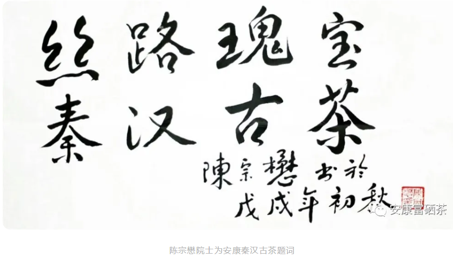 安康富硒茶主要销售(安康富硒茶属于绿茶吗)-硒宝网