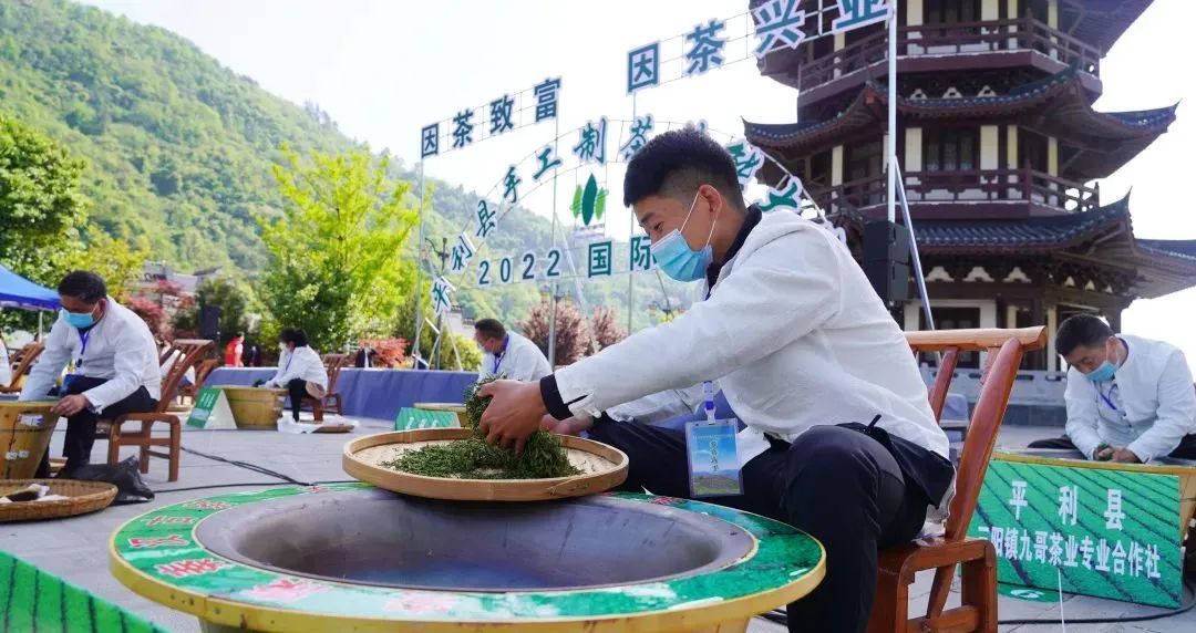 安康富硒茶主要销售(安康富硒茶属于绿茶吗)-硒宝网