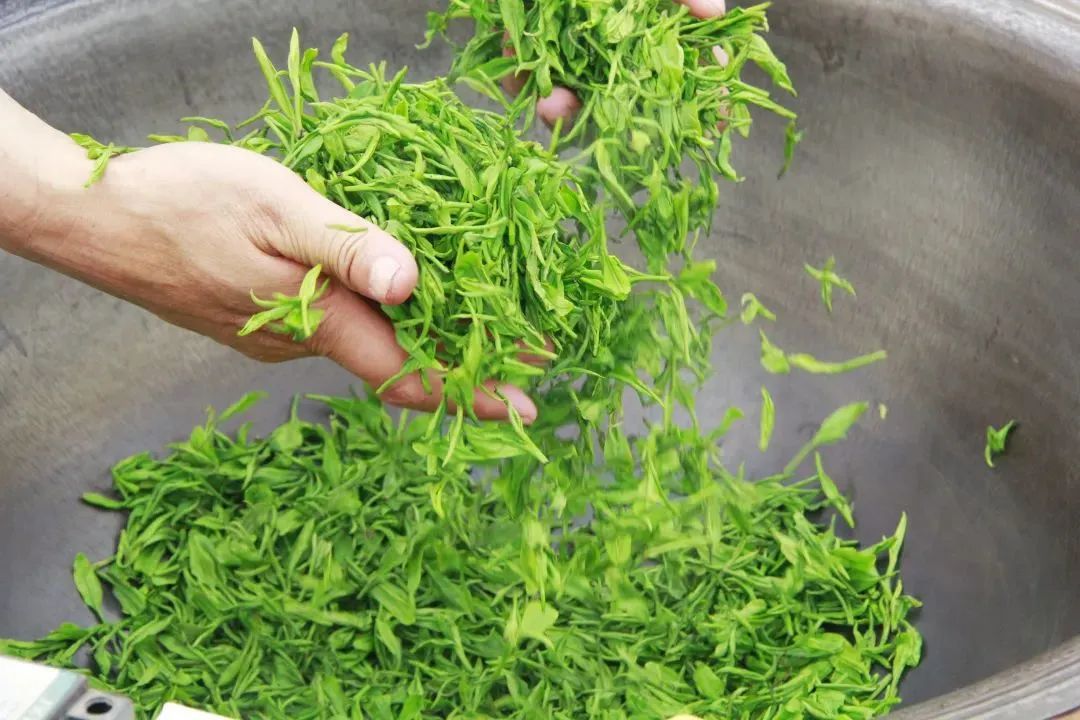 安康富硒茶主要销售(安康富硒茶属于绿茶吗)-硒宝网