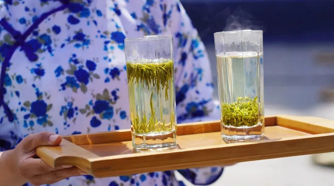 安康富硒茶主要销售(安康富硒茶属于绿茶吗)-硒宝网