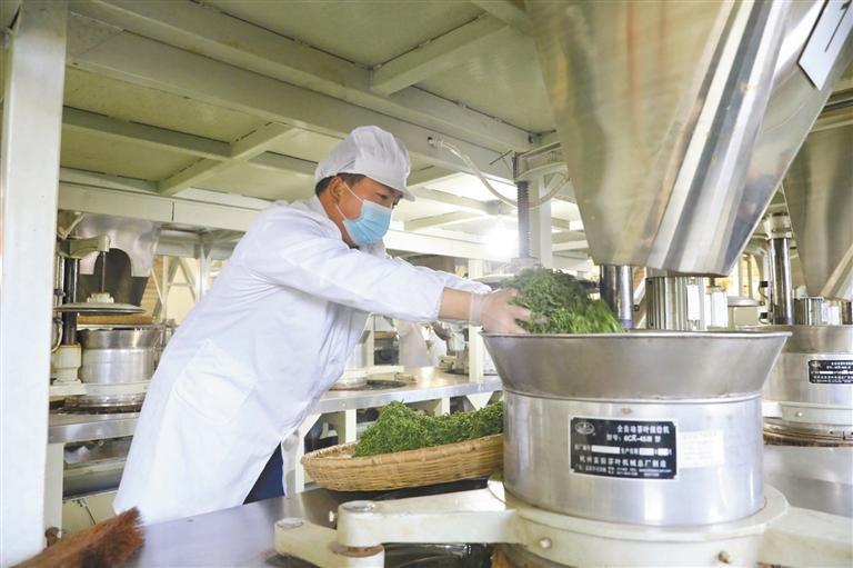 安康富硒茶营销现状(安康富硒茶产业)-硒宝网