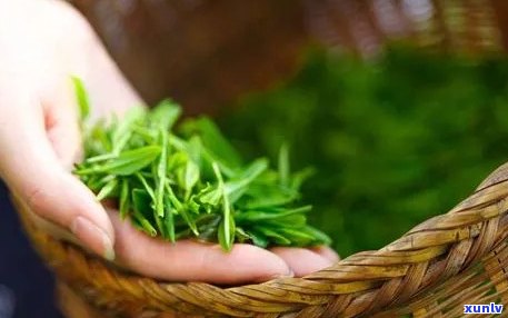 开阳富硒茶品种价格(开阳富硒茶地理标志)-硒宝网