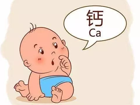 什么东西补钙最快(补钙的东西)-硒宝网