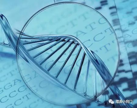 什么东西补钙最快(什么东西补钙最好最快)-硒宝网