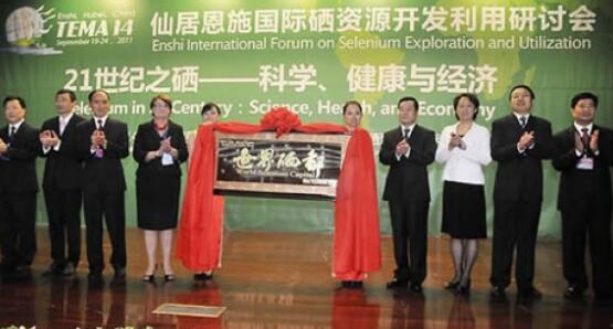 天津富硒茶恩施玉露（恩施富硒茶玉露属于什么茶）-硒宝网