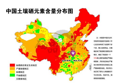 天津富硒茶恩施玉露（恩施富硒茶玉露属于什么茶）-硒宝网