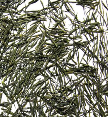 天津富硒茶恩施玉露（恩施富硒茶玉露属于什么茶）-硒宝网