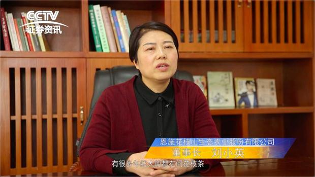 恩施富硒茶加工介绍(恩施富硒茶企业)-硒宝网