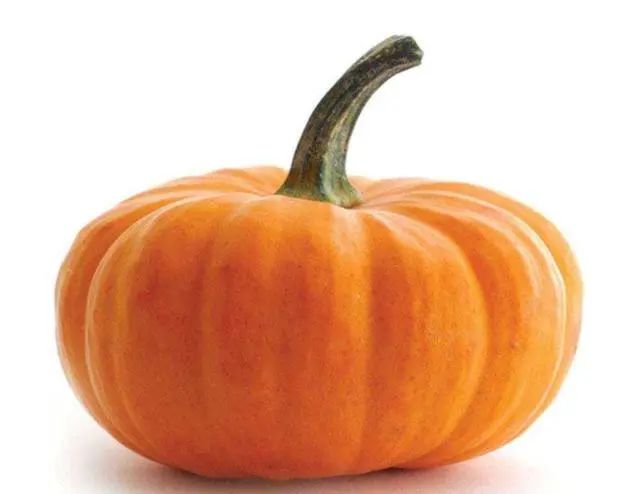 孕妇吃什么补铁补血(孕妇补铁补血药)-硒宝网