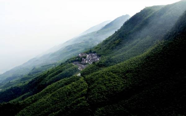 紫阳富硒茶营销状况(紫阳富硒茶制作工艺)-硒宝网