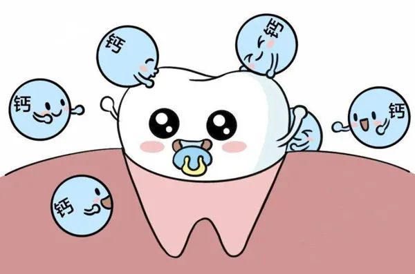牙齿松动补钙有用吗(松动牙齿补钙用有效果吗)-硒宝网