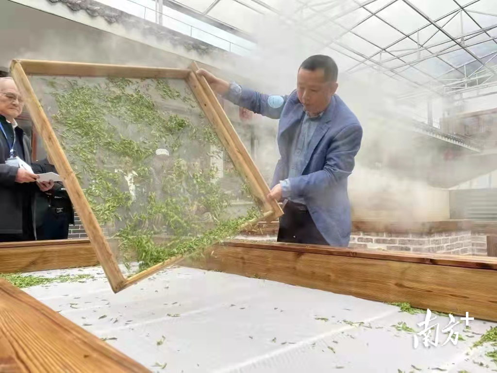 武昌富硒茶玉露企业(武昌茶玉露富硒企业介绍)-硒宝网