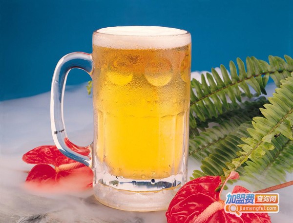 宁夏富硒茶啤酒代理（宁夏啤酒厂）-硒宝网