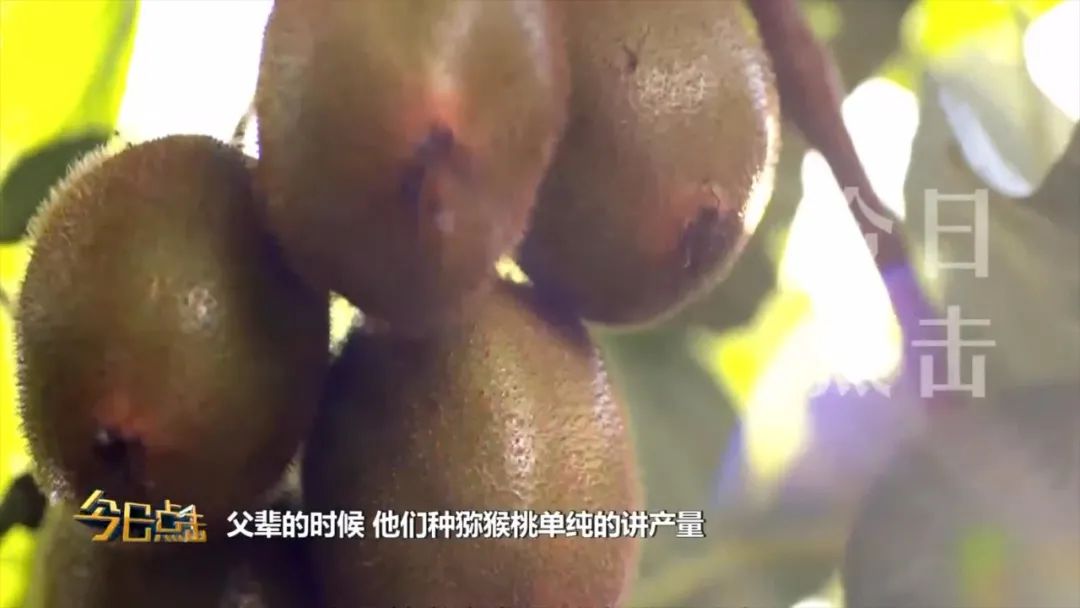 品牌紫阳富硒茶批发(紫阳富硒茶的竞争对手)-硒宝网