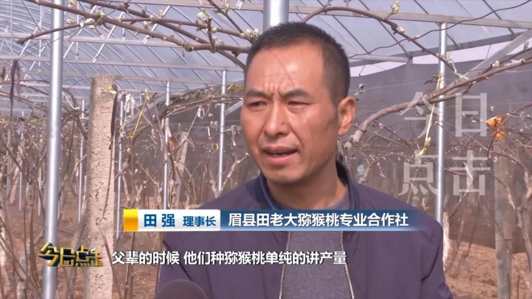 品牌紫阳富硒茶批发(紫阳富硒茶的竞争对手)-硒宝网