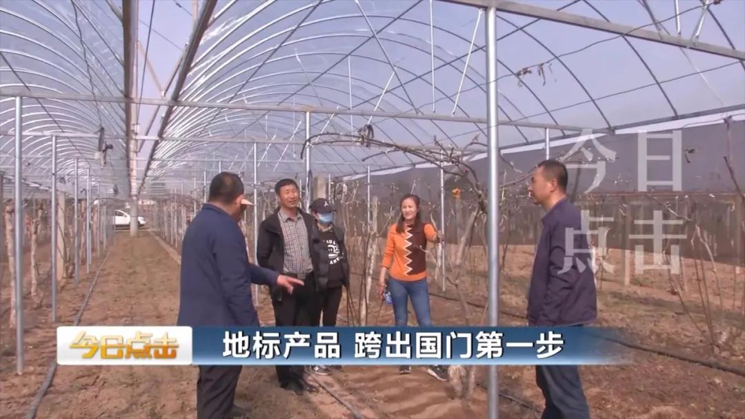 品牌紫阳富硒茶批发(紫阳富硒茶的竞争对手)-硒宝网