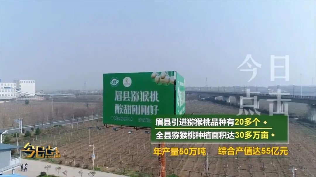 品牌紫阳富硒茶批发(紫阳富硒茶的竞争对手)-硒宝网