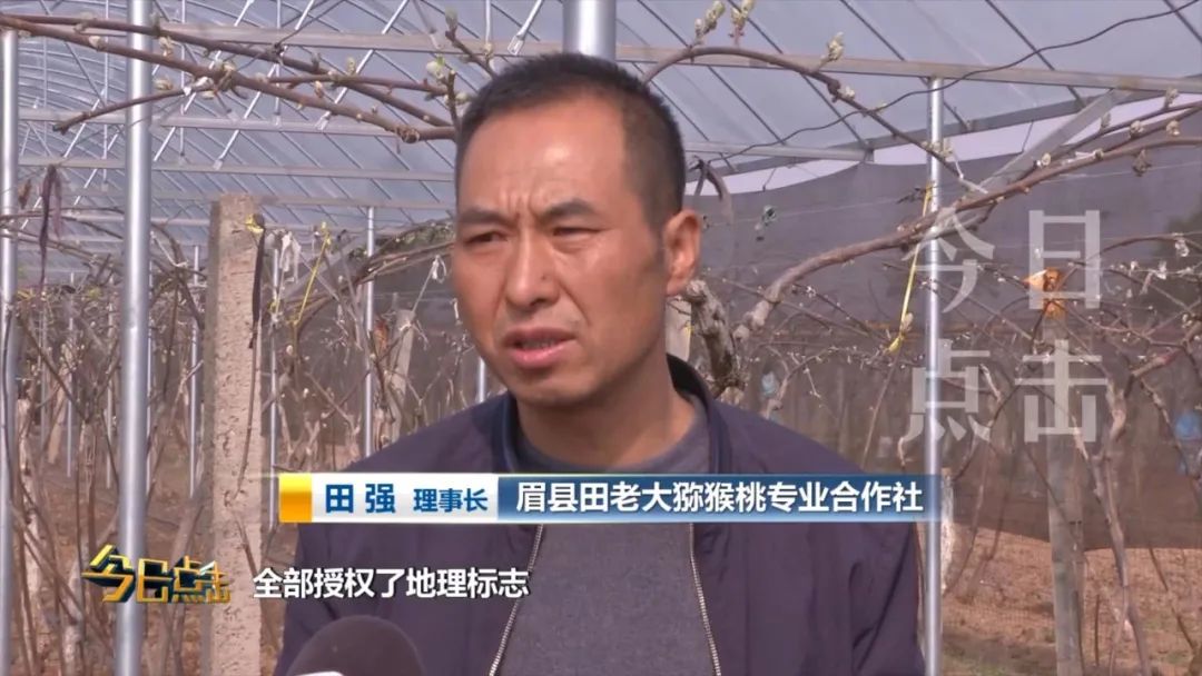 品牌紫阳富硒茶批发(紫阳富硒茶的竞争对手)-硒宝网