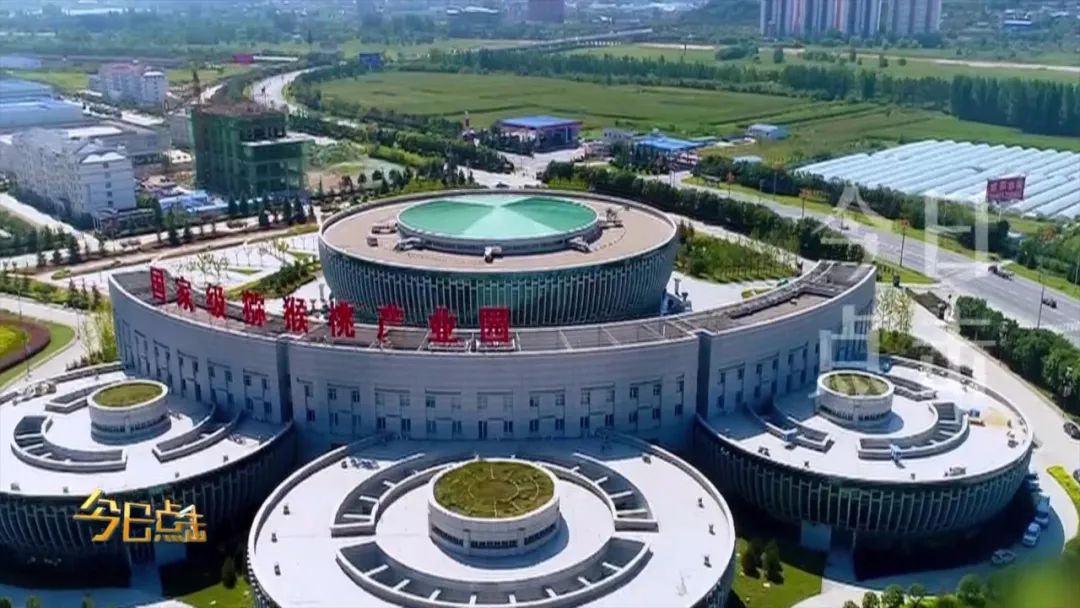 品牌紫阳富硒茶批发(紫阳富硒茶的竞争对手)-硒宝网