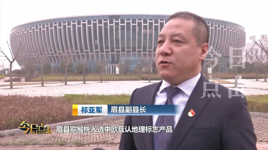 品牌紫阳富硒茶批发(紫阳富硒茶的竞争对手)-硒宝网