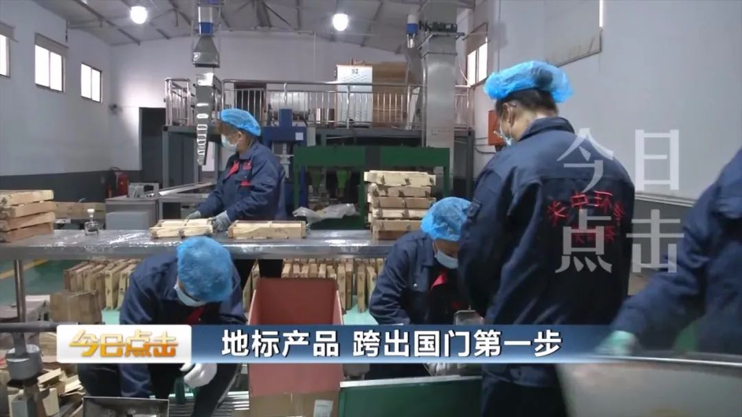 品牌紫阳富硒茶批发(紫阳富硒茶的竞争对手)-硒宝网