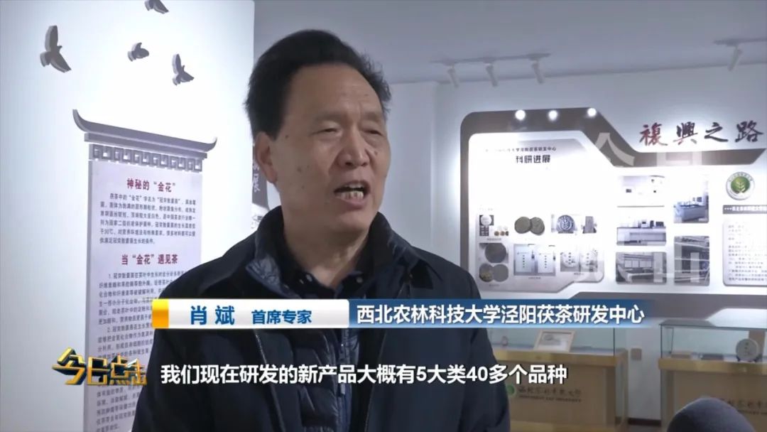 品牌紫阳富硒茶批发(紫阳富硒茶的竞争对手)-硒宝网