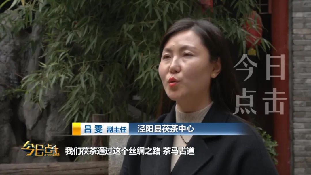 品牌紫阳富硒茶批发(紫阳富硒茶的竞争对手)-硒宝网