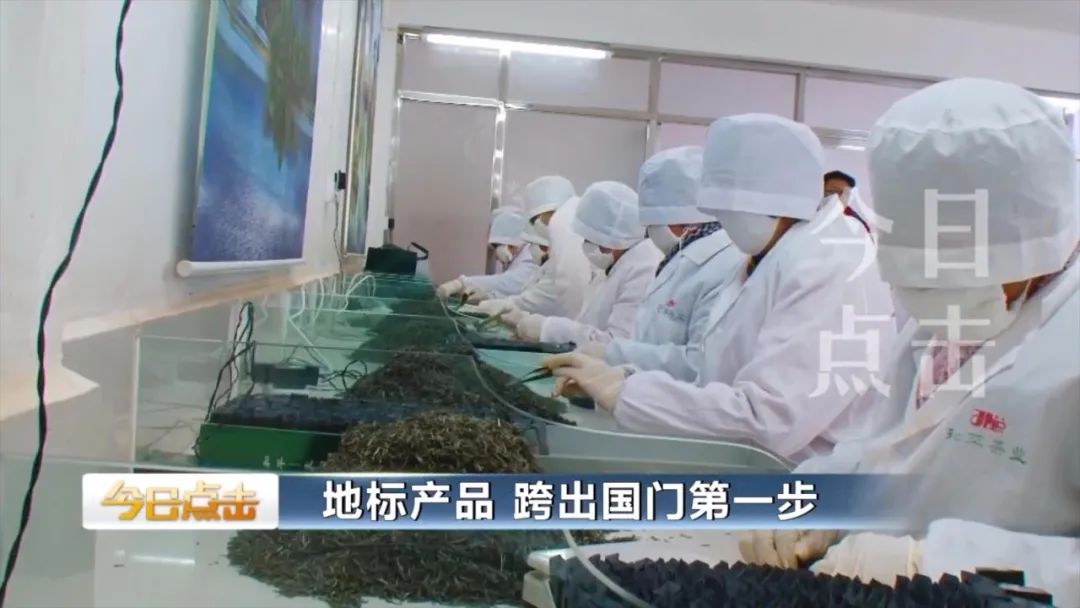 品牌紫阳富硒茶批发(紫阳富硒茶的竞争对手)-硒宝网