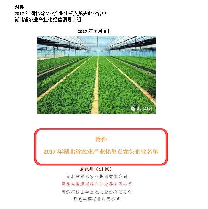 富硒茶玉露推荐企业(玉露富硒茶多少钱)-硒宝网