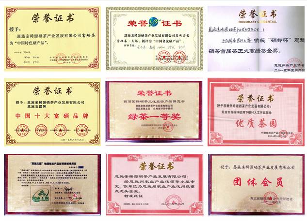 富硒茶玉露推荐企业(玉露富硒茶多少钱)-硒宝网