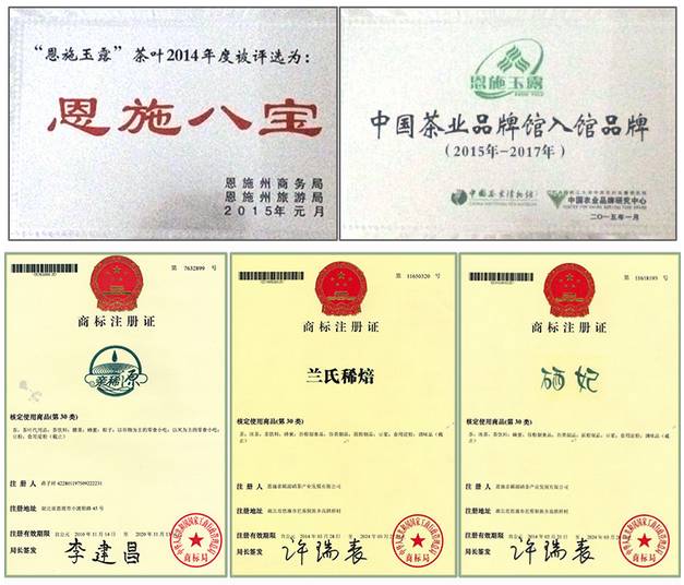 富硒茶玉露推荐企业(玉露富硒茶多少钱)-硒宝网