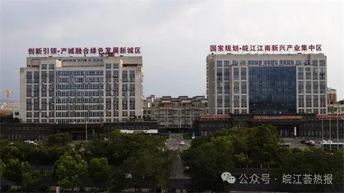 石台高山富硒茶介绍（安徽石台山的富硒茶）-硒宝网