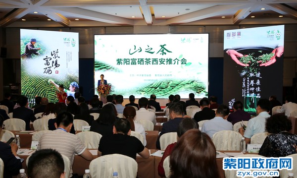 安康紫阳富硒茶讲解（紫阳富硒茶陕南特产价格）-硒宝网