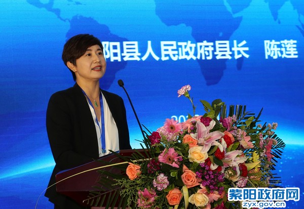 安康紫阳富硒茶讲解（紫阳富硒茶陕南特产价格）-硒宝网