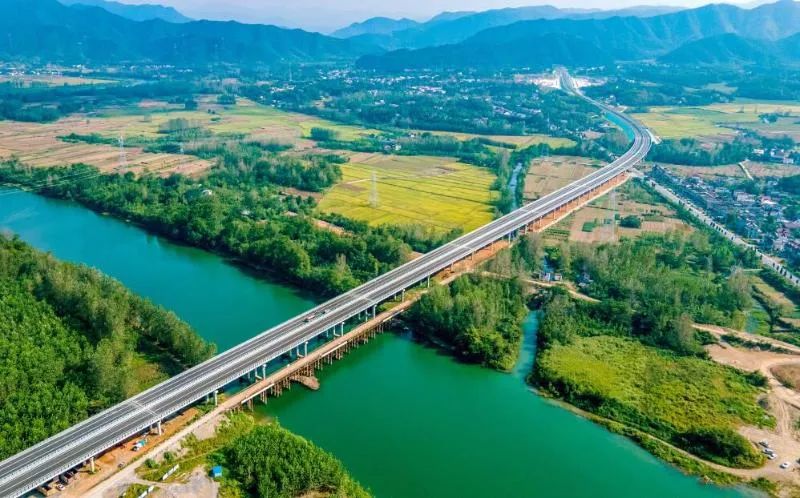 石台高山富硒茶介绍（石台县高山野生硒茶）-硒宝网