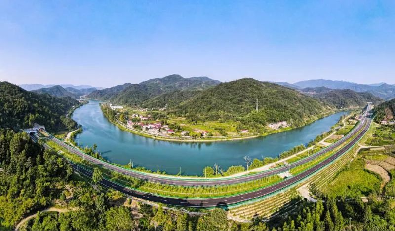 石台高山富硒茶介绍（石台县高山野生硒茶）-硒宝网