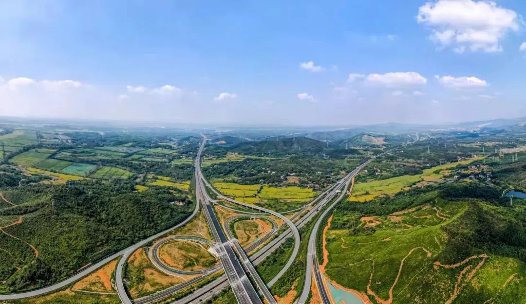 石台高山富硒茶介绍（石台县高山野生硒茶）-硒宝网