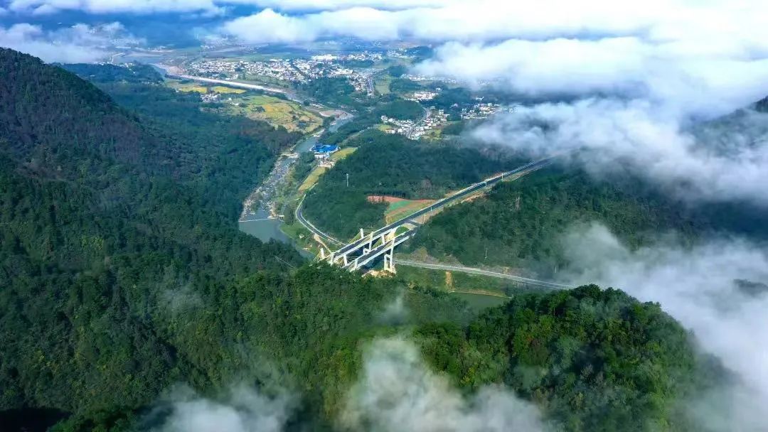 石台高山富硒茶介绍（石台县高山野生硒茶）-硒宝网
