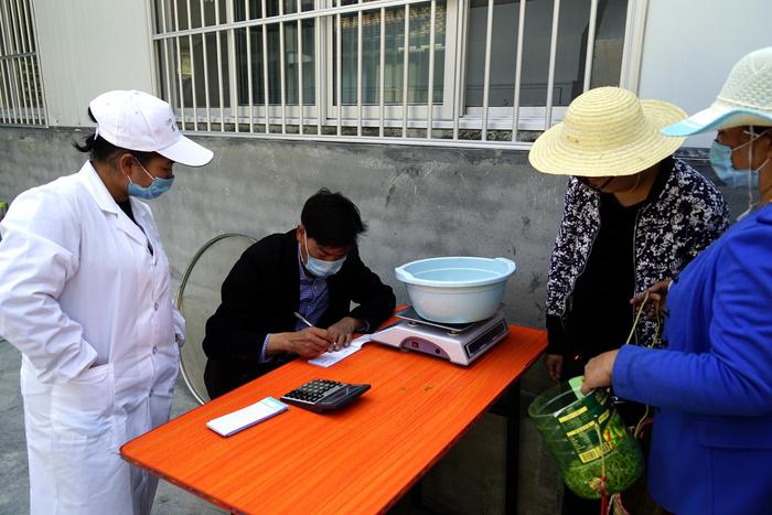 安康富硒茶招商推介(安康富硒茶产业)-硒宝网