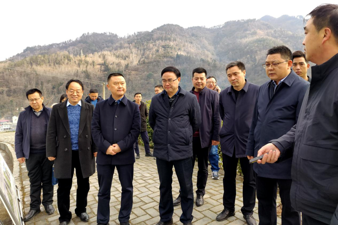 富硒茶产业发展报告(富硒茶市场分析)-硒宝网