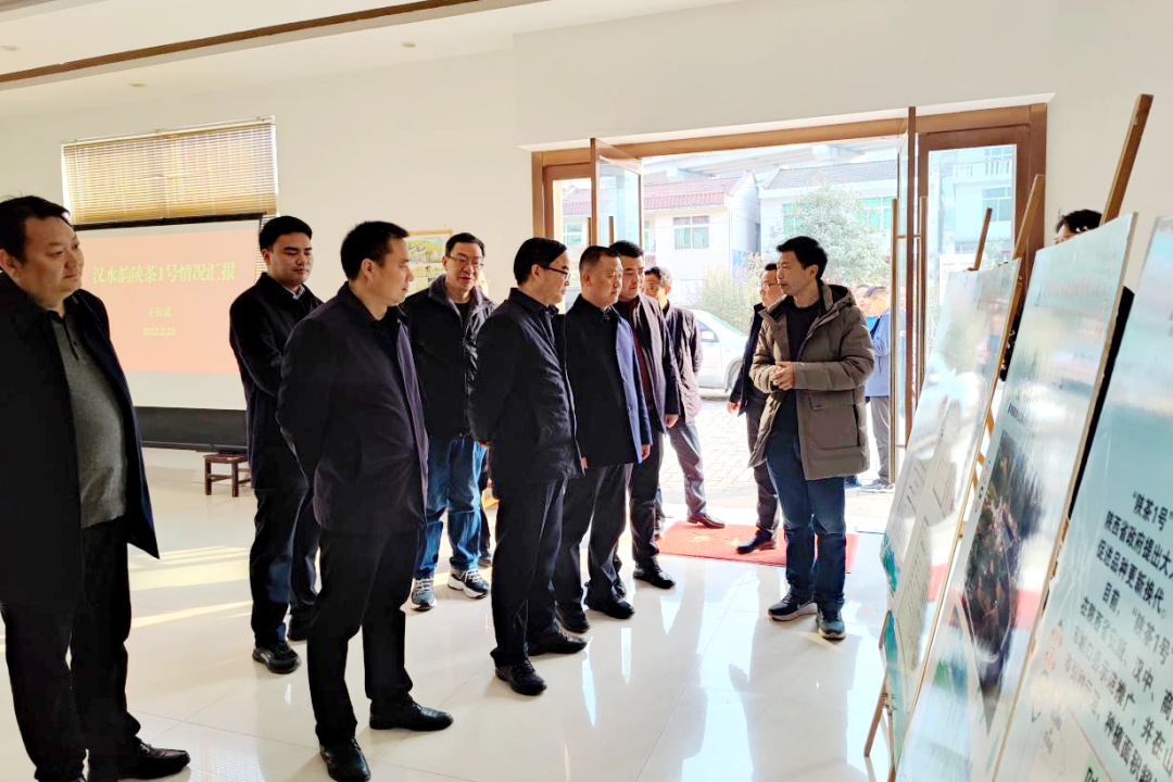 富硒茶产业发展报告(富硒茶市场分析)-硒宝网