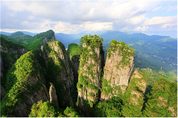 恩施特产恩施富硒茶(湖北特产恩施富硒茶价格表)-硒宝网