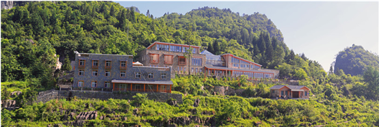 恩施特产恩施富硒茶(湖北特产恩施富硒茶价格表)-硒宝网