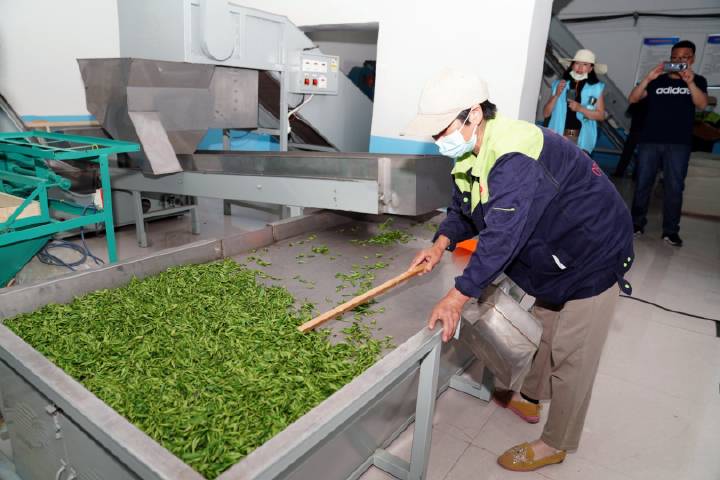 安康富硒茶直播岚皋(安康富硒茶发展情况)-硒宝网