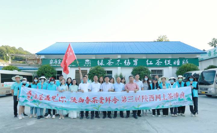 安康富硒茶直播岚皋(安康富硒茶发展情况)-硒宝网