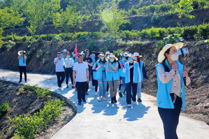 安康富硒茶直播岚皋(安康富硒茶发展情况)-硒宝网