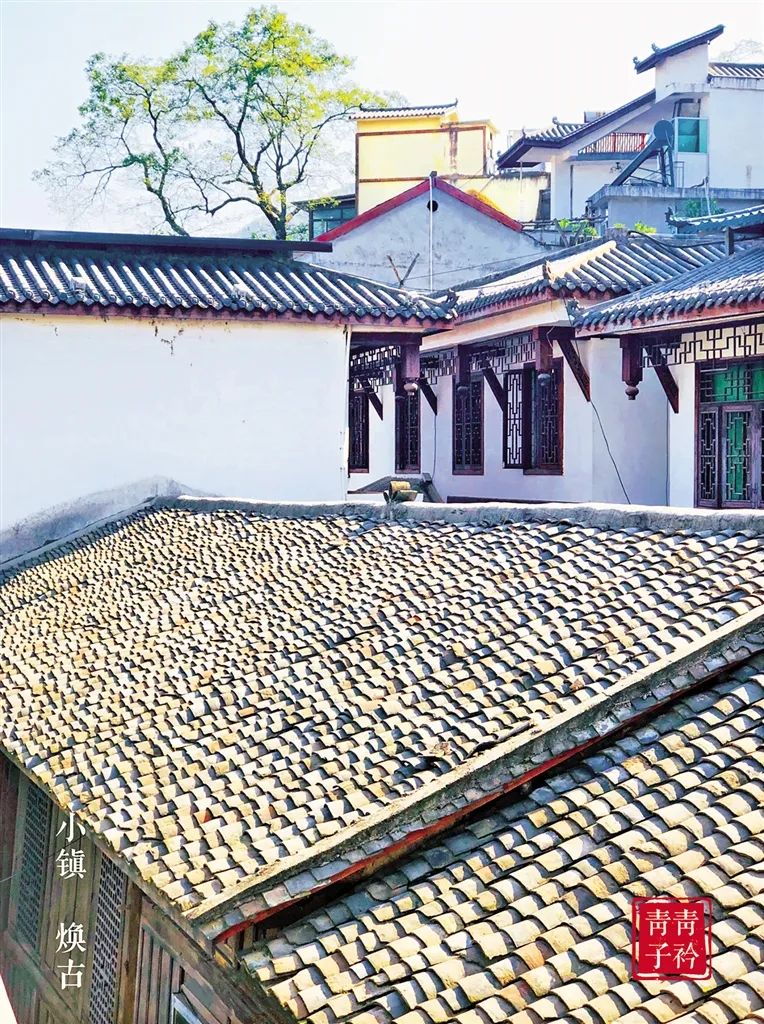 紫阳富硒茶门头设计（紫阳富硒茶场观光园）-硒宝网