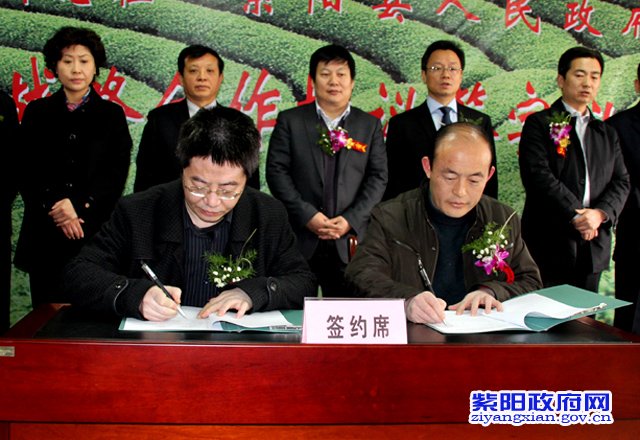 紫阳富硒茶发展历程(紫阳富硒茶文化)-硒宝网