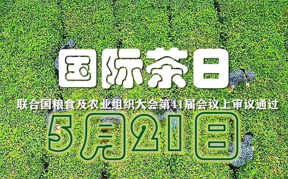 紫阳茶富硒礼盒价格(紫阳茶富硒茶礼盒装)-硒宝网